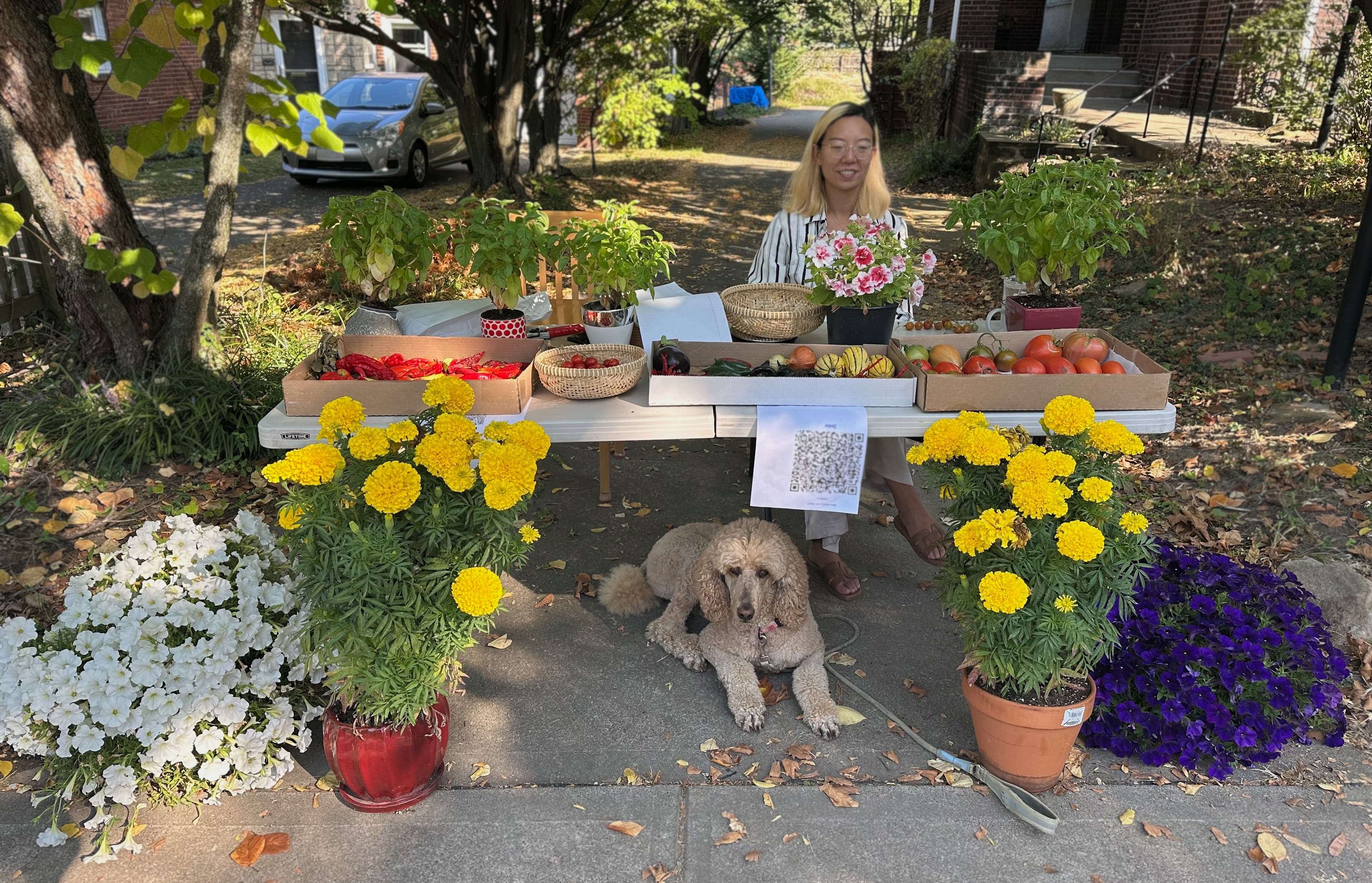 photo of farmer's market stand
